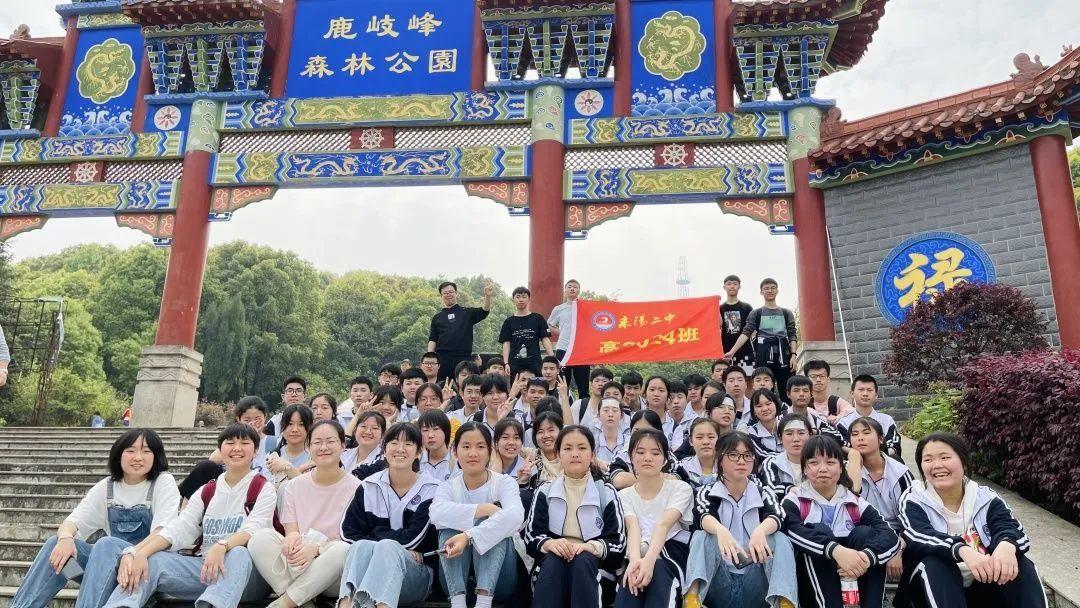 QQ飞车最新版下载，速度与激情的励志之旅