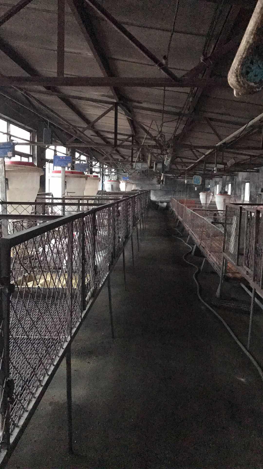 贞硕商显智能科技 第132页