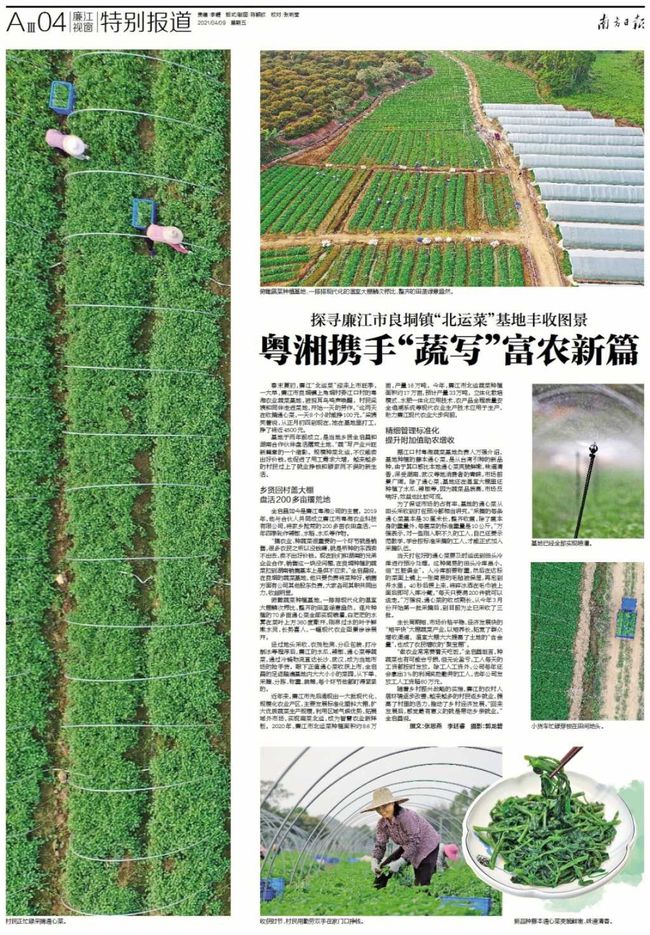 廉江最新招聘动态揭秘，探寻职业发展的热门机会