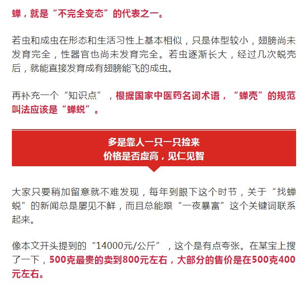 任丘最新招聘信息详解，观点论述与岗位更新速递