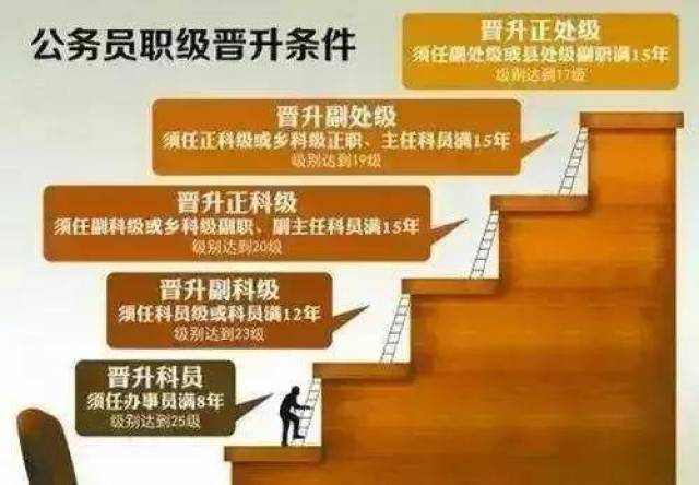 职级并行最新动态，科技引领未来，职级并行产品引领职场新潮流
