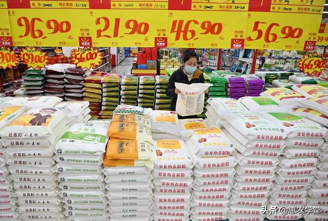 面粉价格最新动态更新报告