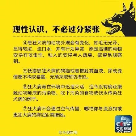 鲁山幼儿园最新招聘启事，探索自然美景之旅，寻找内心的平静力量
