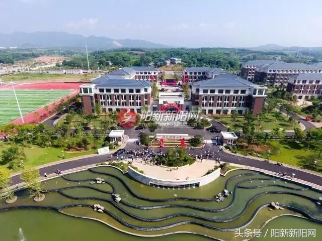 阳新城东新区探索自然美景之旅，最新消息与内心宁静的追寻