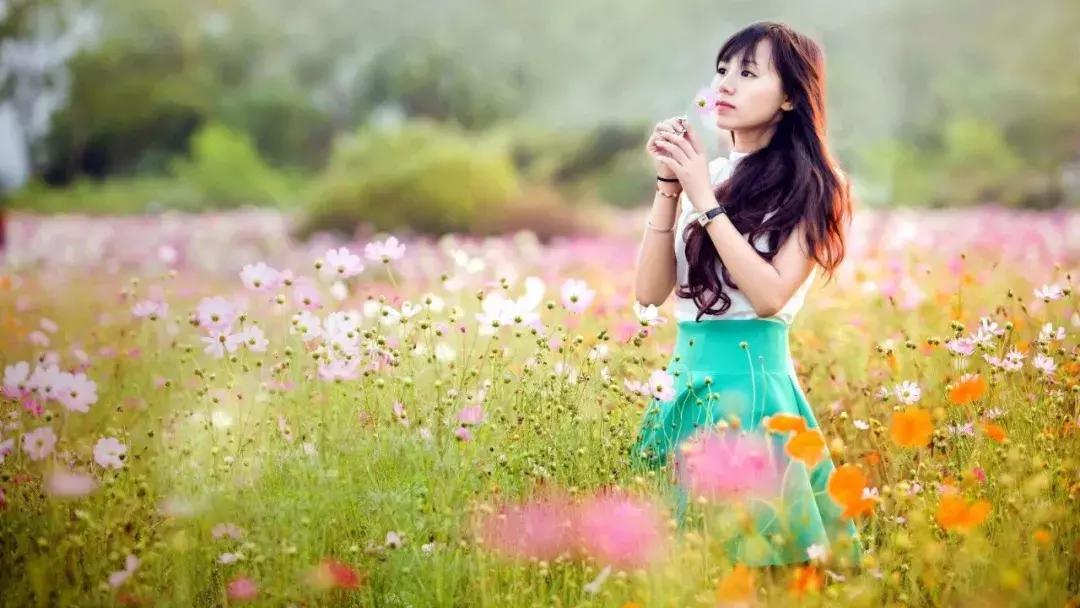 女人如雾，小巷深处的独特风情与最新大结局揭秘