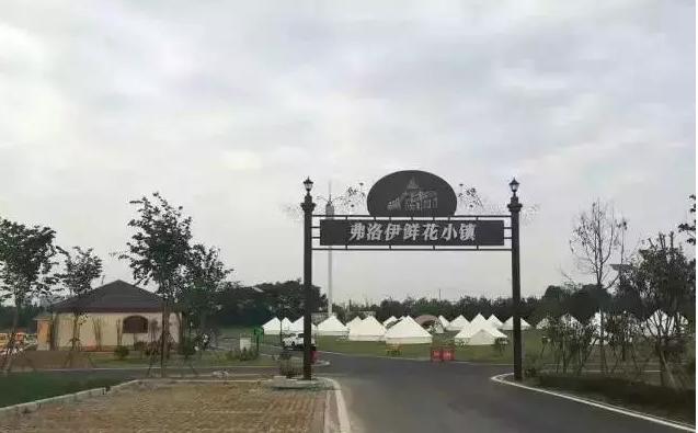 蔡甸世茂龙湾最新消息与投资热点，发展动态深度解析