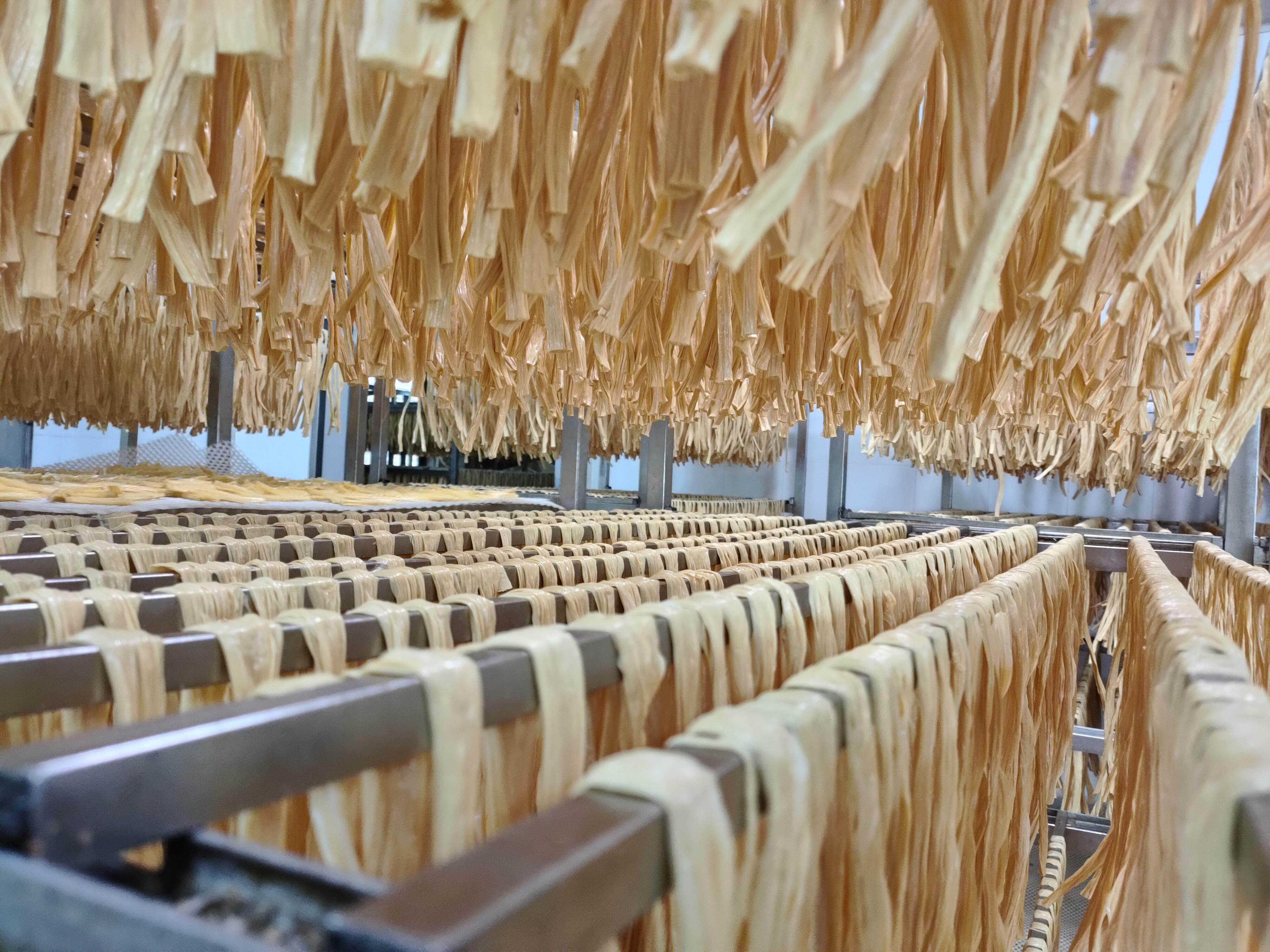 腐竹最新热议，食品热议与观点碰撞中的美味探索