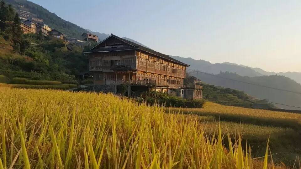 合肥最新兼职与自然探索之旅，寻找内心的平和节奏