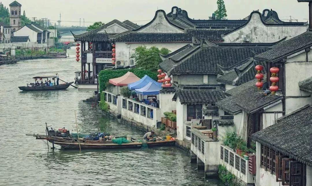 青浦最新规划揭秘，小巷风情与隐藏瑰宝的探寻之旅