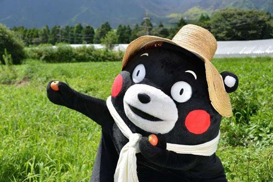 熊本熊最新现象，深度分析与个人观点探讨