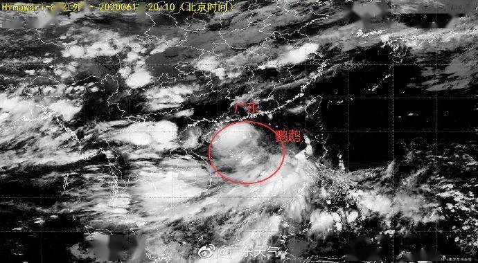 台风天鹆，逆风破浪，学习成就自信之光
