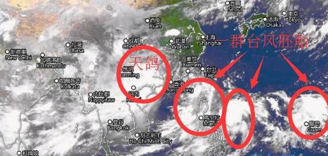 台风天鸽最新动态更新，实时报道与分析