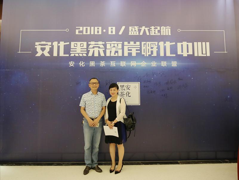 黑茶行业动态获取指南，最新新闻与技能解读