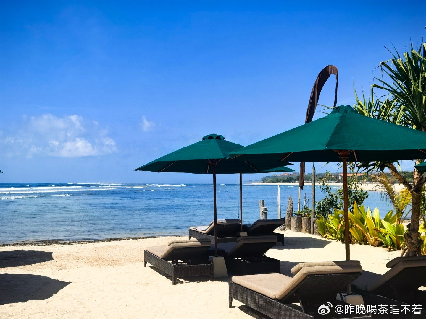 巴厘岛最新动态与消息更新🌴🌞