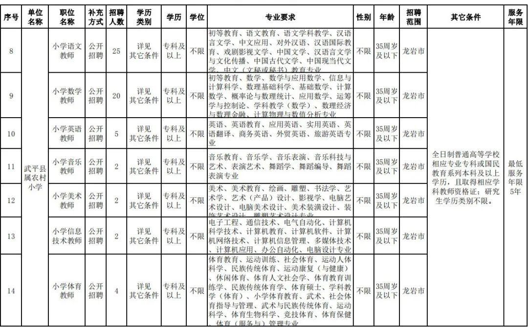 龙岩最新科技智能招聘启幕，引领未来招聘新纪元