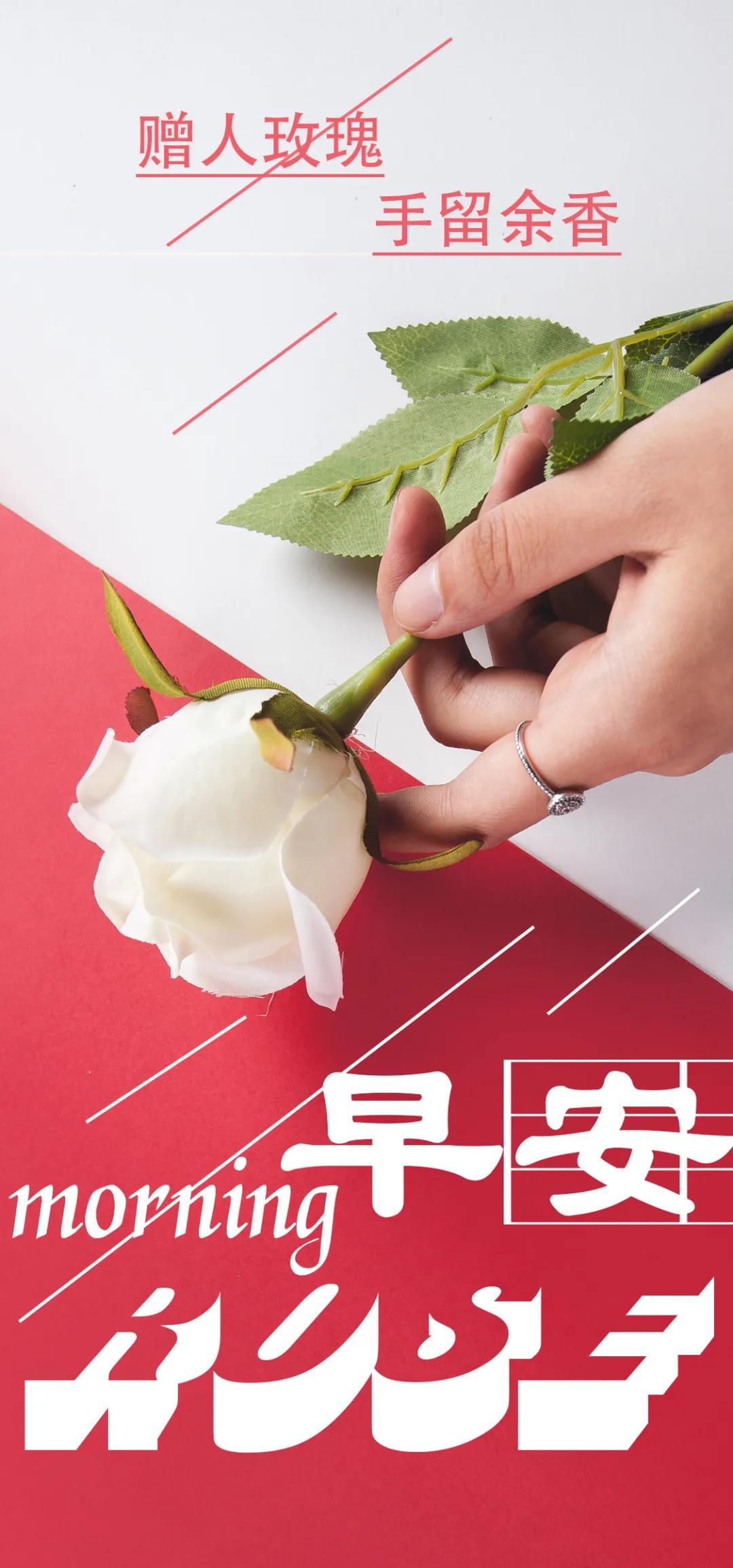 早安心语最新撰写与应用指南，打造积极心情的步骤