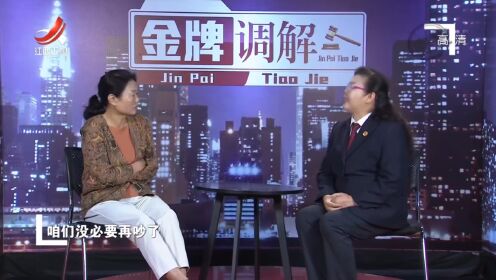 金牌调解最新探索，现代社会的和谐使者之道