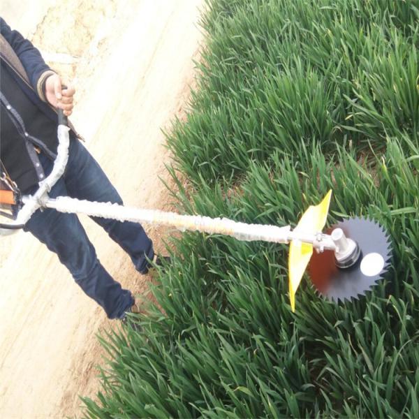 科技重塑绿色生活，最新除草机助你轻松享受无忧园艺时光