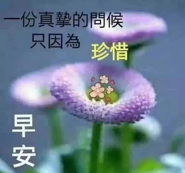 早上好最新动态图片，学习变化的力量与自信的成就展望