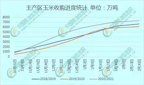 玉米最新价格走势揭示巷弄深处的秘密