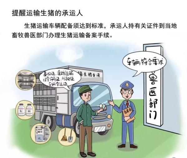 非洲猪瘟最新疫情动态与应对防护指南