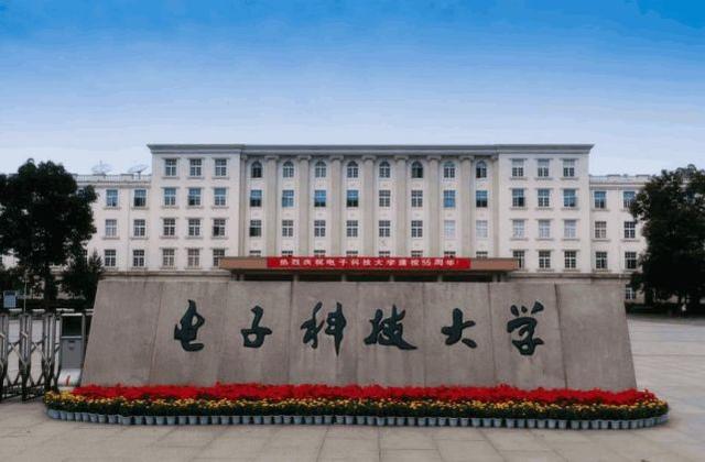 山东大学最新消息，友情与爱的日常故事揭秘