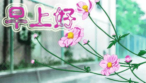 电视直播最新版，自然美景的轻松探索之旅