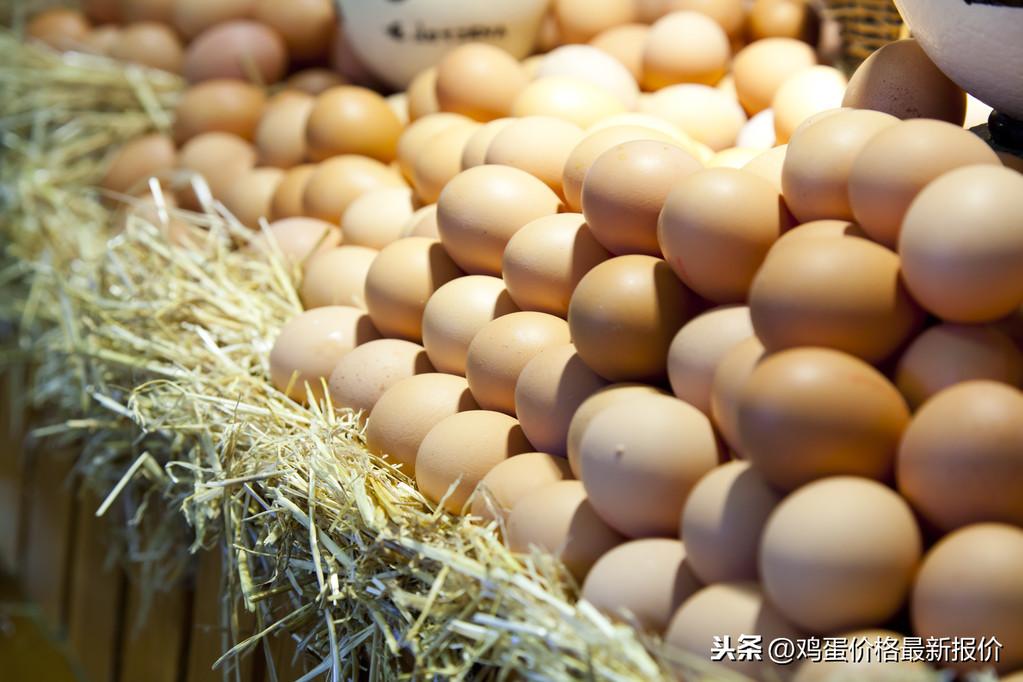 LED显示屏厂家 第36页