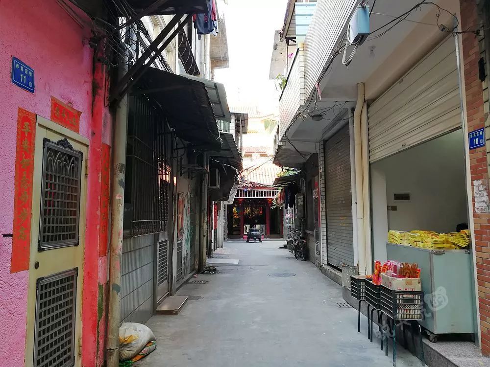 巷弄深处的独特风情，高干文最新隐藏小店故事