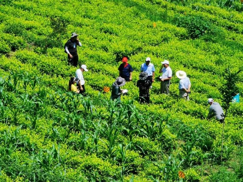 安康最新房价，时代印记与城市脉络的体现