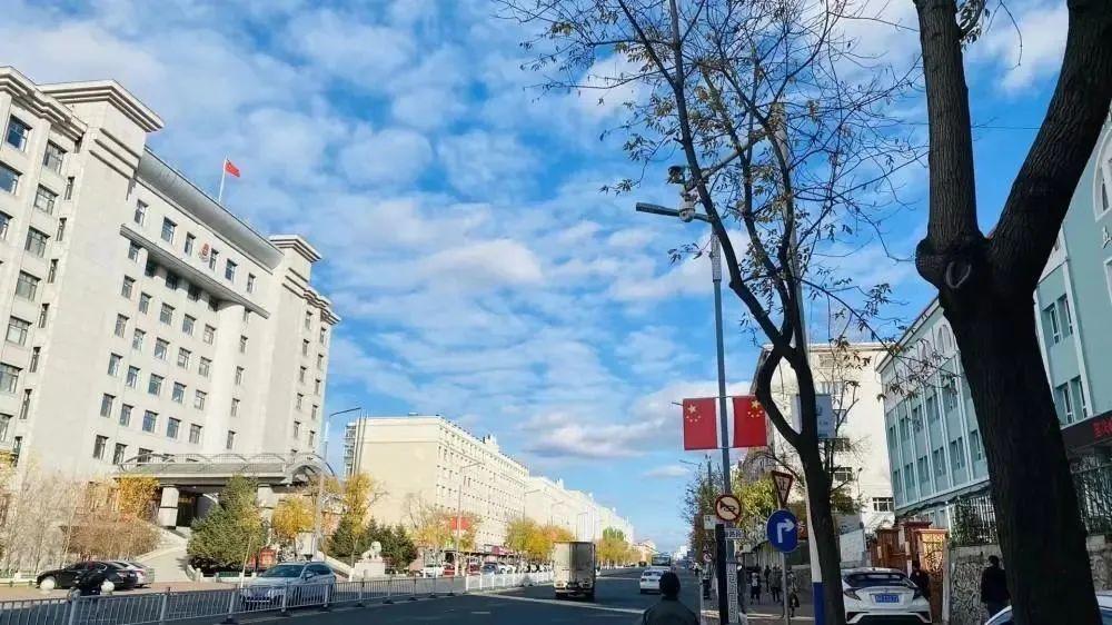 鹤岗机场最新消息更新，2017年动态揭秘