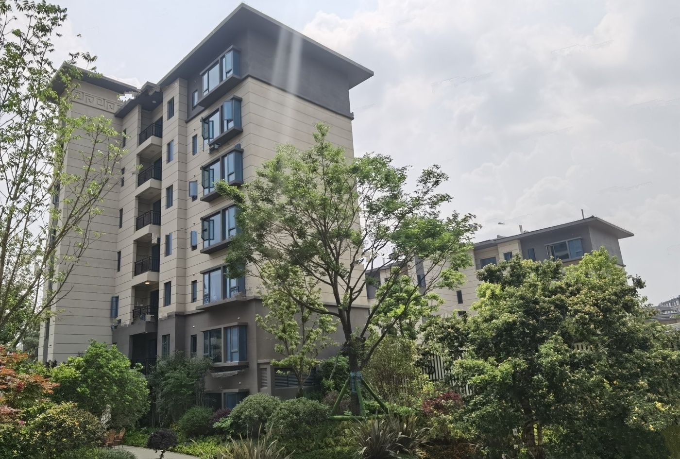 龙川碧桂园，家的温馨与友情的交织日常最新消息速递